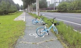 长春最新单车爆料,揭秘城市绿色出行新选择