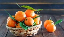 橘子娱乐吃瓜队,揭秘娱乐圈幕后风云